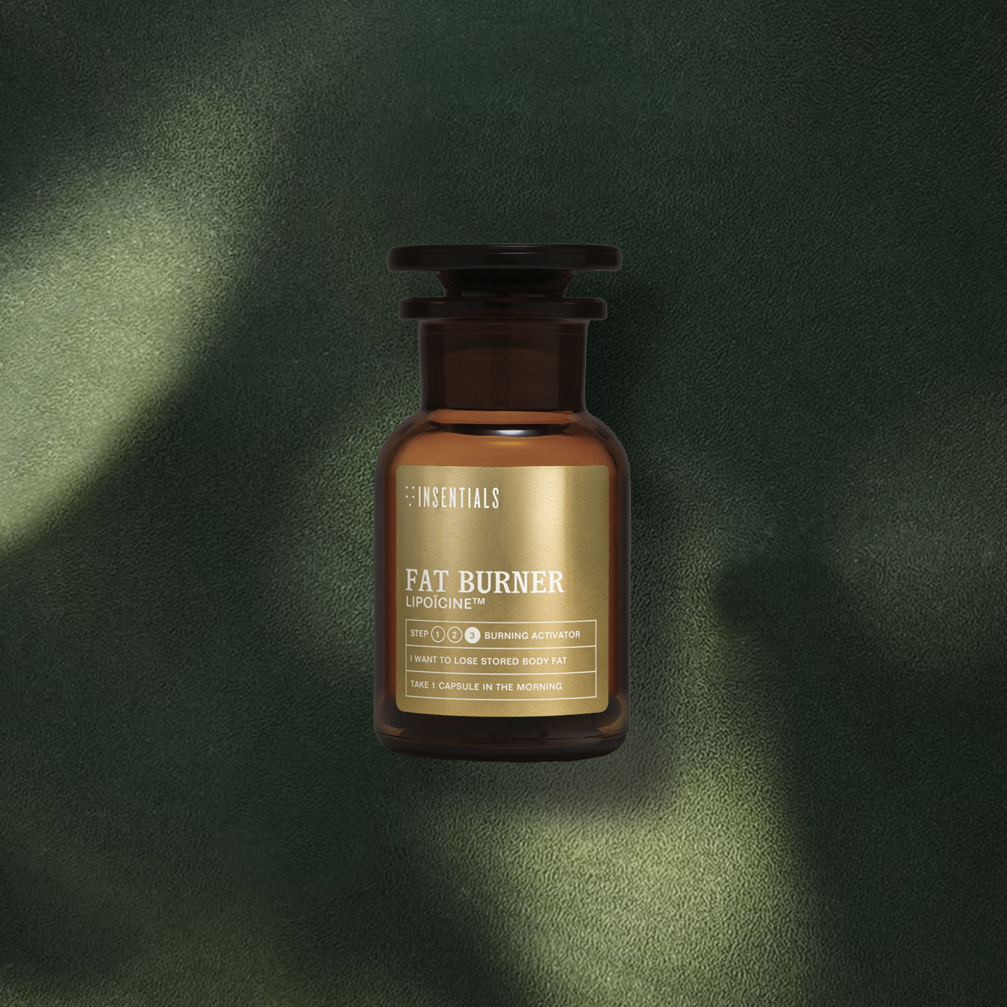 Fat Burner (vetmetabolisme & energie)