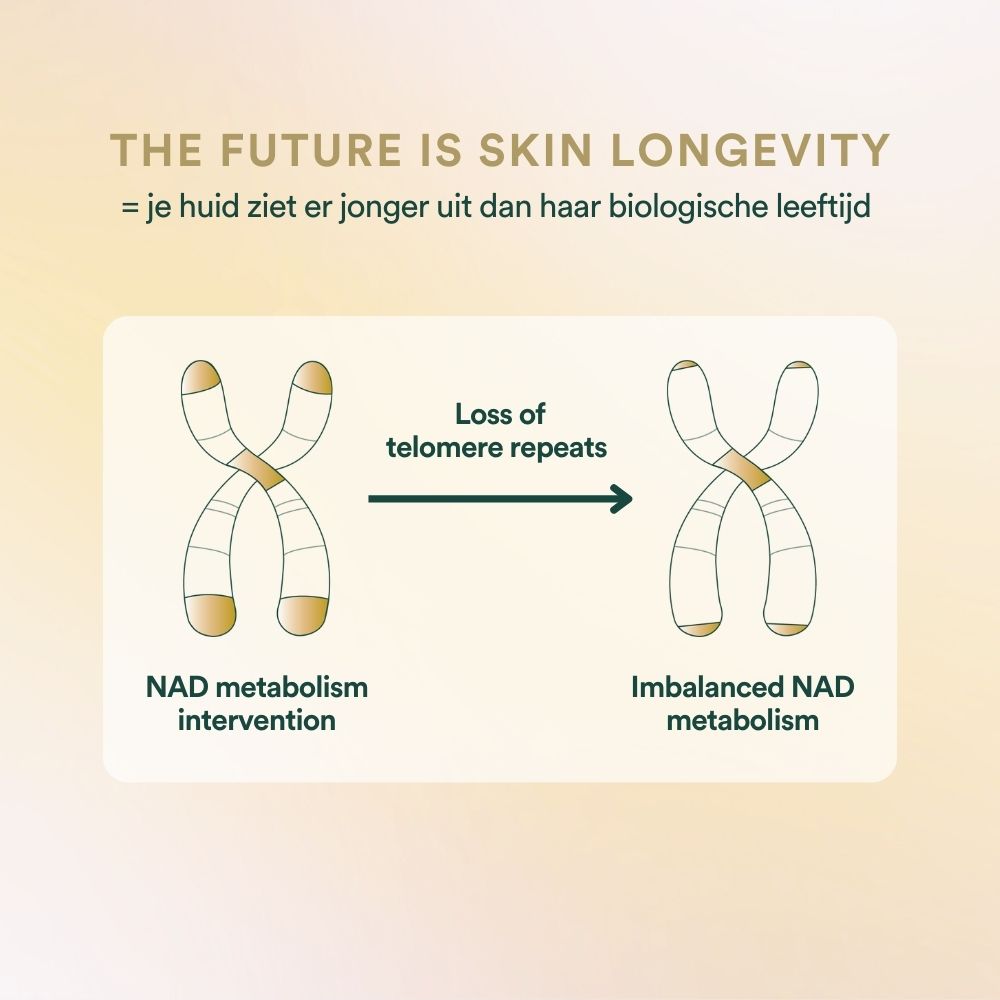 Anti-Aging Pack