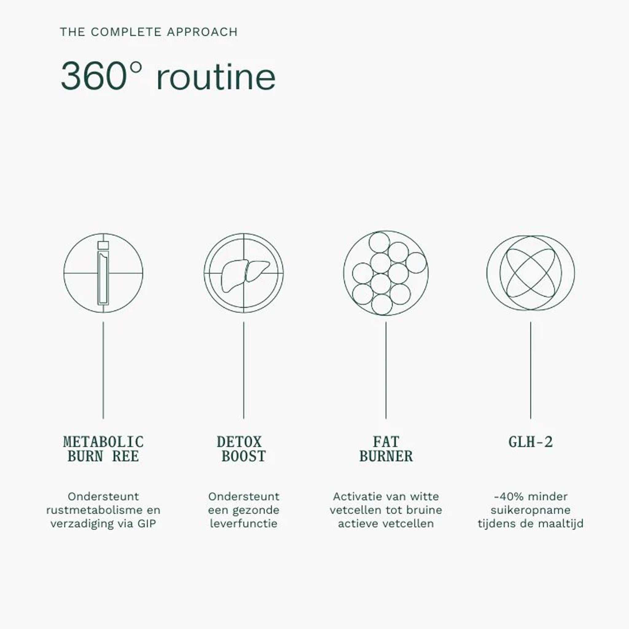 Een diagram toont vier Insentials supplement iconen-Metabolic GLH-2 REE Pack, Detox Boost, Fat Burner en GLH-2-met Nederlandse beschrijvingen over voordelen zoals vetverbranding, detox en gewichtsverlies ondersteuning.