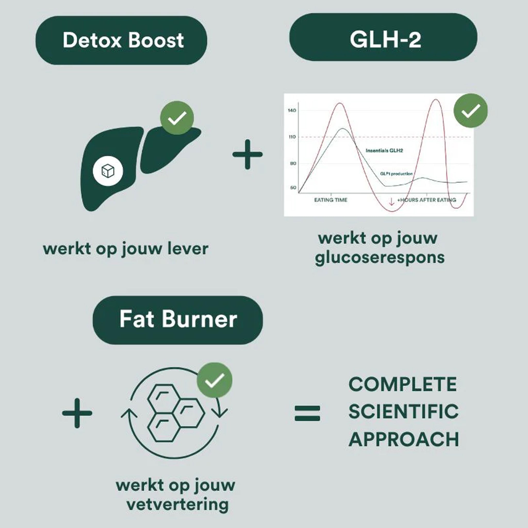 Infographic met Insentials GLH-2 producten, met iconen voor lever, gezonde koolhydraatstofwisseling, Glucoreductase™ en spijsvertering. Ondersteunt een volledige wetenschappelijke aanpak. Tekst is in het Nederlands.