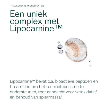 Een wit poeder en twee capsules worden getoond naast Nederlandse tekst over Insentials - Metabolic GLH-2 REE Pack, een supplement van Insentials met L-carnitine en bioactieve peptiden om gewichtsverlies en vetverbranding te ondersteunen.